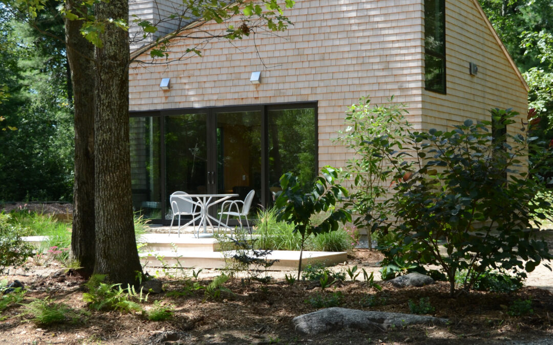 Cottage In Woods